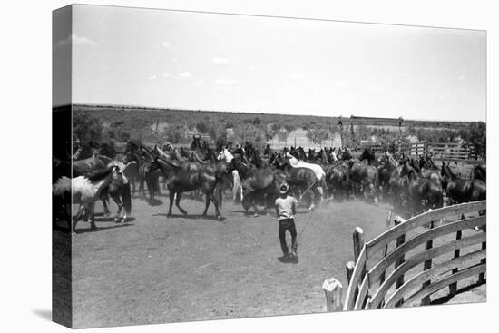 Texas: Cowboy, 1939-Russell Lee-Stretched Canvas