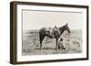 Texas: Cowboy, c1910-Erwin Evans Smith-Framed Giclee Print