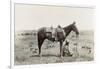 Texas: Cowboy, c1910-Erwin Evans Smith-Framed Giclee Print