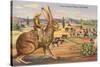 Texas Cowboy Herding from Jack Rabbit-null-Stretched Canvas