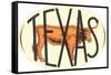 Texas Decal with Longhorn Steer-null-Framed Stretched Canvas