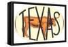 Texas Decal with Longhorn Steer-null-Framed Stretched Canvas