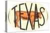 Texas Decal with Longhorn Steer-null-Stretched Canvas