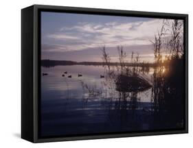 Texas Duck Hunting-Dmitri Kessel-Framed Stretched Canvas