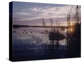Texas Duck Hunting-Dmitri Kessel-Stretched Canvas
