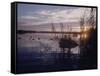 Texas Duck Hunting-Dmitri Kessel-Framed Stretched Canvas