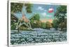 Texas - Exterior View of the State Capitol, the Flag, and a Field of Blue Bonnets, c.1948-Lantern Press-Stretched Canvas