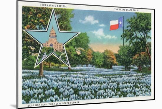 Texas - Exterior View of the State Capitol, the Flag, and a Field of Blue Bonnets, c.1948-Lantern Press-Mounted Art Print