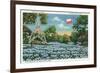 Texas - Exterior View of the State Capitol, the Flag, and a Field of Blue Bonnets, c.1948-Lantern Press-Framed Premium Giclee Print