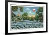 Texas - Exterior View of the State Capitol, the Flag, and a Field of Blue Bonnets, c.1948-Lantern Press-Framed Premium Giclee Print