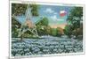 Texas - Exterior View of the State Capitol, the Flag, and a Field of Blue Bonnets, c.1948-Lantern Press-Mounted Premium Giclee Print