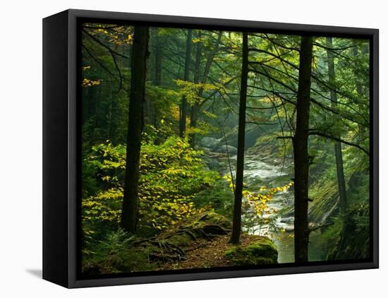 Texas Falls, Vermont, USA-Joe Restuccia III-Framed Stretched Canvas