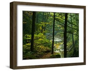 Texas Falls, Vermont, USA-Joe Restuccia III-Framed Premium Photographic Print