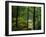 Texas Falls, Vermont, USA-Joe Restuccia III-Framed Premium Photographic Print