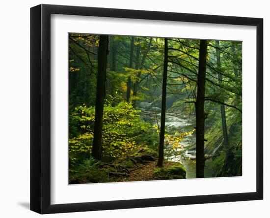 Texas Falls, Vermont, USA-Joe Restuccia III-Framed Premium Photographic Print