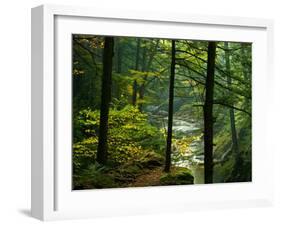 Texas Falls, Vermont, USA-Joe Restuccia III-Framed Premium Photographic Print