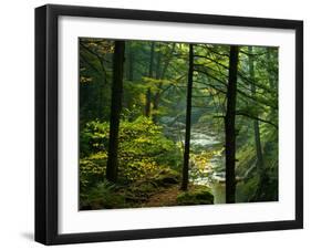 Texas Falls, Vermont, USA-Joe Restuccia III-Framed Photographic Print