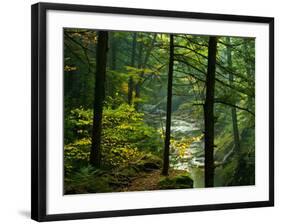 Texas Falls, Vermont, USA-Joe Restuccia III-Framed Photographic Print