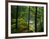 Texas Falls, Vermont, USA-Joe Restuccia III-Framed Photographic Print