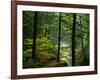 Texas Falls, Vermont, USA-Joe Restuccia III-Framed Photographic Print