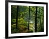 Texas Falls, Vermont, USA-Joe Restuccia III-Framed Photographic Print