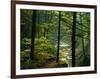 Texas Falls, Vermont, USA-Joe Restuccia III-Framed Photographic Print