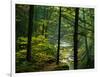 Texas Falls, Vermont, USA-Joe Restuccia III-Framed Photographic Print