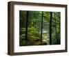 Texas Falls, Vermont, USA-Joe Restuccia III-Framed Photographic Print