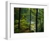 Texas Falls, Vermont, USA-Joe Restuccia III-Framed Photographic Print