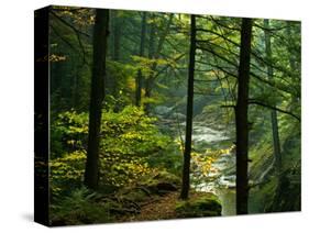 Texas Falls, Vermont, USA-Joe Restuccia III-Stretched Canvas