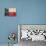 Texas Flag, 1842-null-Giclee Print displayed on a wall