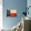 Texas Flag, 1842-null-Mounted Giclee Print displayed on a wall