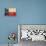 Texas Flag, 1842-null-Stretched Canvas displayed on a wall