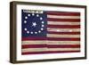 Texas Flag, 19th Century-null-Framed Giclee Print