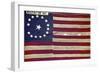 Texas Flag, 19th Century-null-Framed Giclee Print