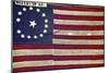 Texas Flag, 19th Century-null-Mounted Giclee Print