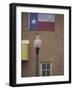 Texas Flag and Street Light, Lubbock, Texas, USA-Darrell Gulin-Framed Photographic Print