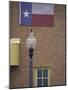 Texas Flag and Street Light, Lubbock, Texas, USA-Darrell Gulin-Mounted Photographic Print