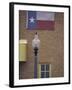 Texas Flag and Street Light, Lubbock, Texas, USA-Darrell Gulin-Framed Photographic Print