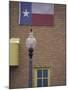 Texas Flag and Street Light, Lubbock, Texas, USA-Darrell Gulin-Mounted Photographic Print