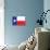 Texas Flag Art Print Poster-null-Poster displayed on a wall