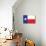 Texas Flag Art Print Poster-null-Mounted Poster displayed on a wall