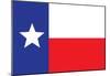 Texas Flag Art Print Poster-null-Mounted Poster