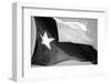 Texas Flag BW-John Gusky-Framed Photographic Print