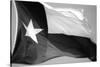 Texas Flag BW-John Gusky-Stretched Canvas