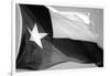 Texas Flag BW-John Gusky-Framed Photographic Print