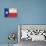 Texas Flag Distressed Art Print Poster-null-Poster displayed on a wall