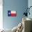 Texas Flag Distressed Art Print Poster-null-Mounted Poster displayed on a wall