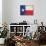 Texas Flag Distressed Art Print Poster-null-Stretched Canvas displayed on a wall