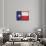 Texas Flag Distressed Art Print Poster-null-Framed Poster displayed on a wall